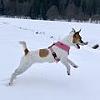 Sandy_Lucy